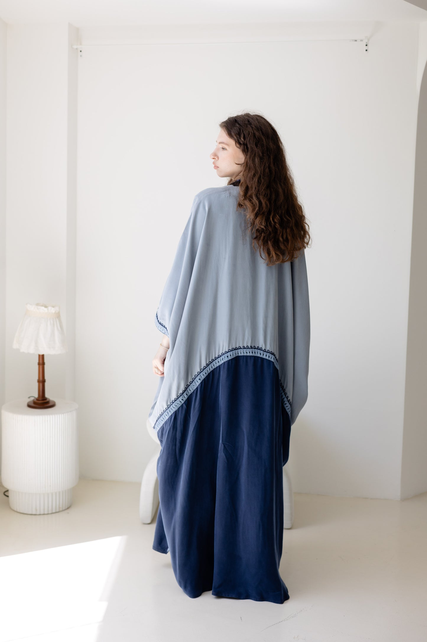 ALMS260011